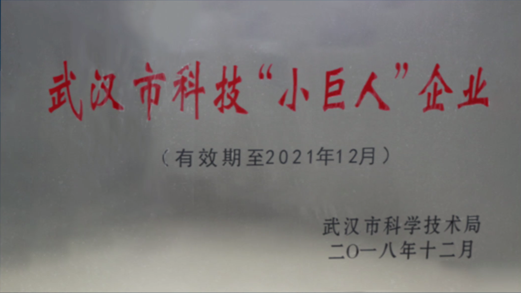 武漢市科技“小巨人”企業(yè)