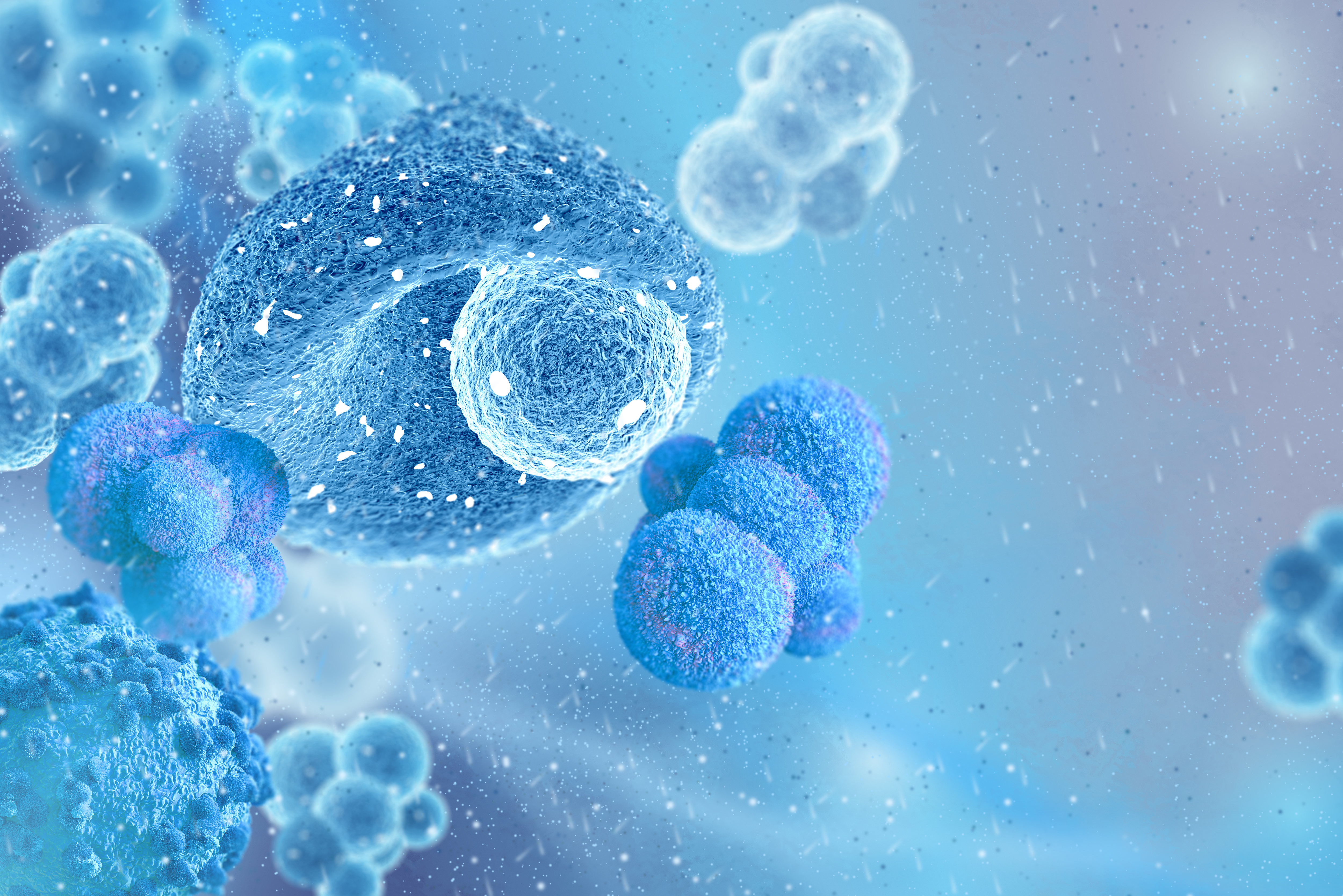 干貨 | “返老還童”——干細胞治療產品質量控制及法規解讀