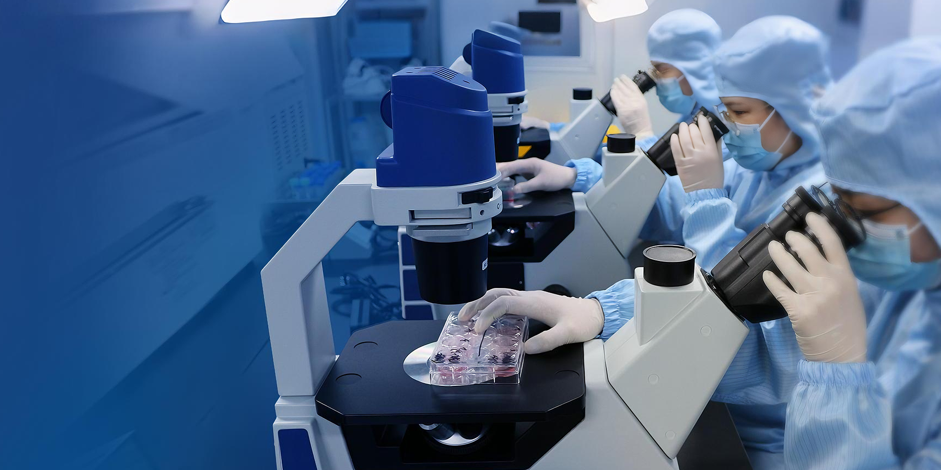 做細(xì)胞質(zhì)量檢驗(yàn)的守護(hù)者